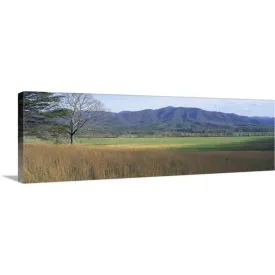 " Great Smoky National Park TN" Canvas Wall Art